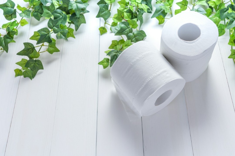 ekologiczny papier toaletowy